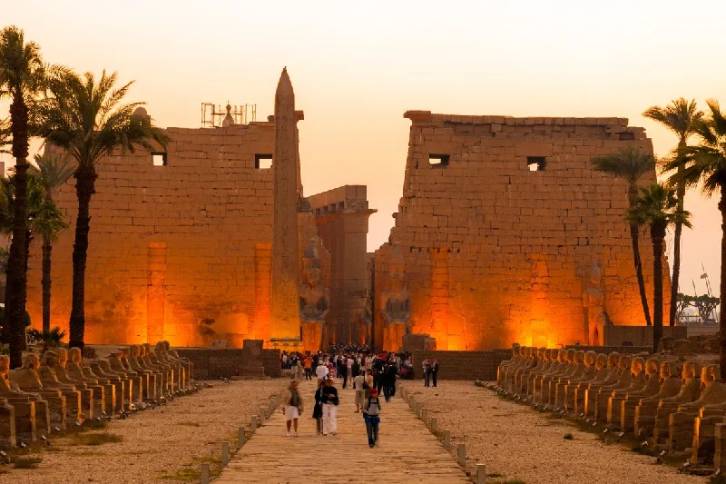 El Cairo, Crucero Nilo y Los Oasis de Egipto 